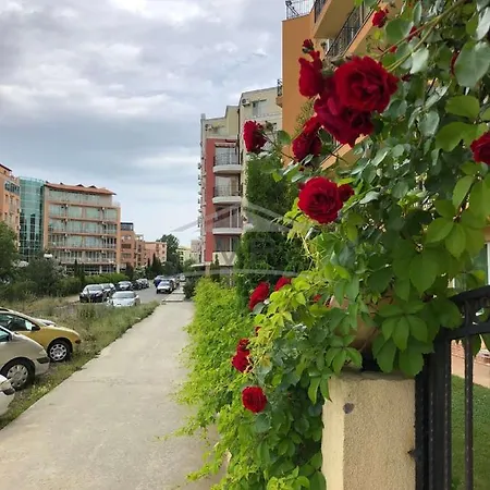 амадеус 19 Апартаменты Солнечный берег